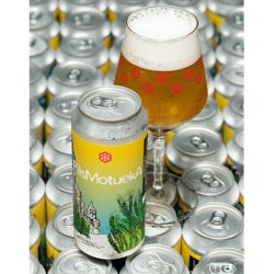 Granizo PilsMotueka 6-pack - Cervezas Granizo