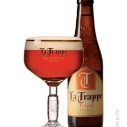 La Trappe Tripel 8,0 % 33 cl - Trappist.dk - Skjold Burne