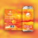 Lost & Grounded - Wanna Go To The Sun, Pale Ale 4.6% Lost & Grounded - Wanna Go To The Sun, Pale Ale 4.6%