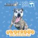 Jackie O’s Underdog  6 Pack 