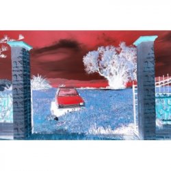 Popihn DIPA DDH NECTARON / NELSON SAUVIN