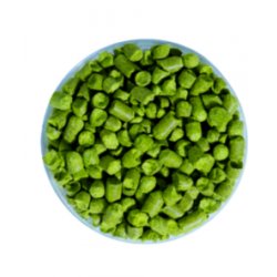 Lúpulo Lemondrop Hopsteiner 1 Kg - The Craft Drinks Lab