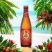 Red Horse Bier 0,33l 