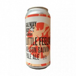 Galway Bay Little Feelings Nelson Sauvin Pale Ale - Craft Beers Delivered