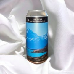 Noiseless RT#10 - Hazy Pale Ale