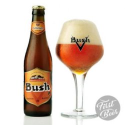 Bia Bush Amber Tripel 12% – Chai 330ml – Thùng 24 Chai - First Beer – Bia Nhập Khẩu Giá Sỉ