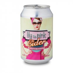 CELTIC MARCHES CIDER Lily The Pink 4.5% - Beer Paradise