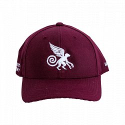 Flying Monkeys Baseball Hat - Flying Monkeys Craft Brewery