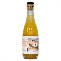 Browar Stu Mostów: WILD#26 Saturn Peach & Vanilla - butelka 375 ml - Piwne Mosty - Stu Mostow