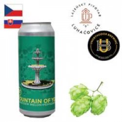 Luhačovice  Unorthodox Brewing  Partizán - Fountain Of Youth 500ml CAN - Drink Online - Drink Shop