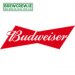 Budweiser - Lager - 4.3% ABV 