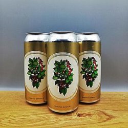 Evil Twin - FRUCTUS DANICA 3 MULBERRY, RASPBERRY, CALAMANSI 473ml - Goblet Beer Store