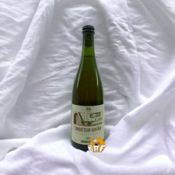 Brasserie Septante-Deux Conducteur Fantôme Brasserie Septante-Deux Conducteur Fantôme