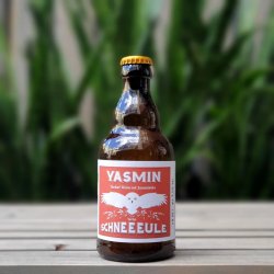 Schneeeule Yasmin