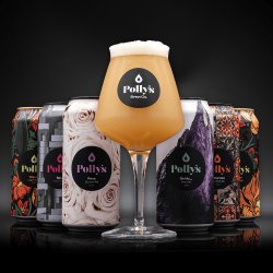 Polly’s Teku 6-Pack Bundle - Polly’s Brew Co.