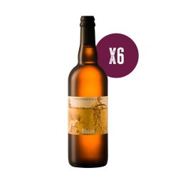 Birrificio BioNoc’ Birra Staion  bottiglia da 75cl  scatola da 6 bottiglie - Birrificio BioNoc’