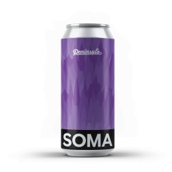 SOMA BLOCK PARTY _ DIPA _ 8% w PENÍNSULA - Soma