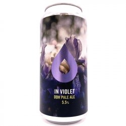 Pollys Brew Co. - In Violet - Hop Craft Beers