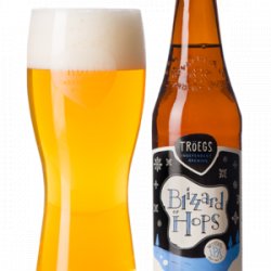 Troegs Blizzard Of Hops Winter IPA 2412 oz bottles - Beverages2u