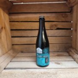 Bottle Logic Brewing Fundamental Observation (2025)