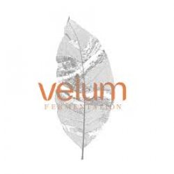 Velum Milling Around Amber Lager 24 pack16 oz cans - Beverages2u