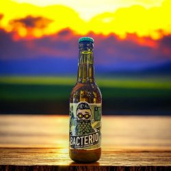 BACTERIO EFECTO IPA INDIAN PALE ALE BOTELLA 330 ML. - Hidden Beers