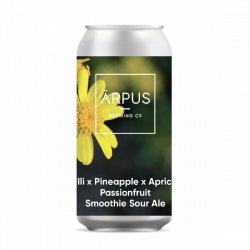 Ārpus Brewing Co. Chilli X Pineapple X Apricot X Passionfruit Smoothie Sour Ale