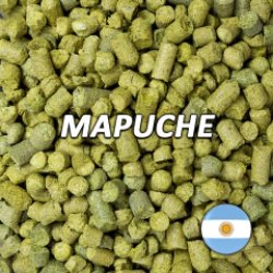 Lúpulo Mapuche - Lúpulos Andinos - Silo Cervecero