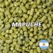 Lúpulo Mapuche - Lúpulos Andinos Lúpulo Mapuche - Lúpulos Andinos