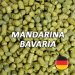 Lúpulo Mandarina Bavaria - Hopsteiner Lúpulo Mandarina Bavaria - Hopsteiner