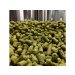 Pivovar Raven Chmel: Citra 100g 