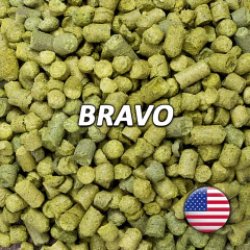 Lúpulo Bravo - Hopsteiner - Silo Cervecero