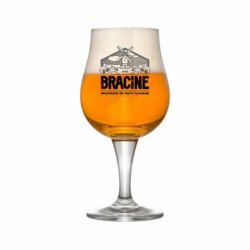 Verre Bracine 33 cl - RB-and-Beer