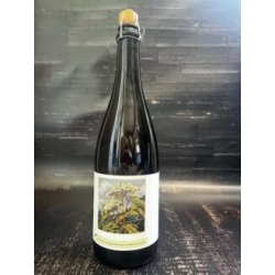 Popihn Sauvages Fleur De Sureau 2023  Wild Ale - Alehub