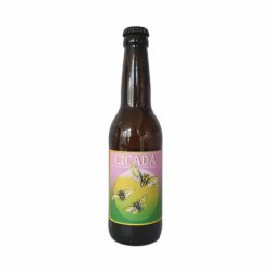 Cicada  Brasserie du Merle  33 cl - RB-and-Beer