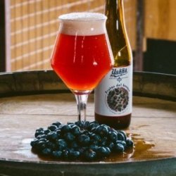 Cervezas Yakka Frutas Del Bosque