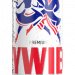 Zywiec Premium Beer 500ml Can Zywiec Premium Beer 500ml Can