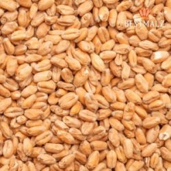 Trigo Malteado Wheat Malt x 1 Kg BestMalz - Cibart