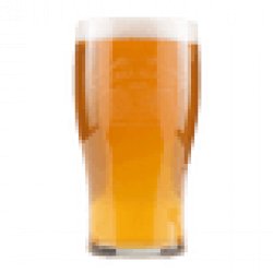 Sierra Nevada Pint Glass - Beer Cartel