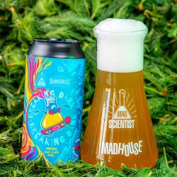 Mad Scientist Breaking Dank