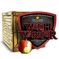 Gwynt y Ddraig Welsh Warrior
