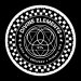 BLACK IRIS BREWERY Divine Elements 6.0% 