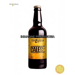 PINTALPINA CALES - Birra e Birre