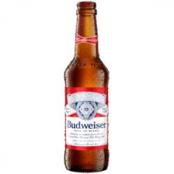 Budweiser 2412 oz bottles - Beverages2u