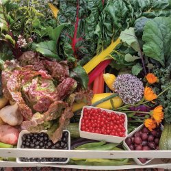 Planning Your Vegetable Garden — Black Isle Brewery - Black Isle Brewery