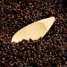 Malta BlackSwaen Coffee x 25 Kg Malta BlackSwaen Coffee x 25 Kg
