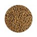 Crisp Cara Gold Malt 