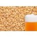 slad BEST PALE ALE 