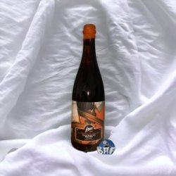 Fauve Une Étoile Au Point Du Jour - BW BA 12 Mois