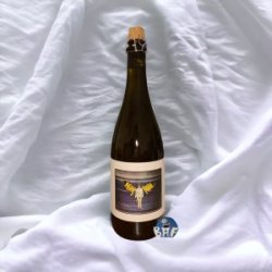 Popihn Sauvages ASSEMBLAGE 13 (2021)